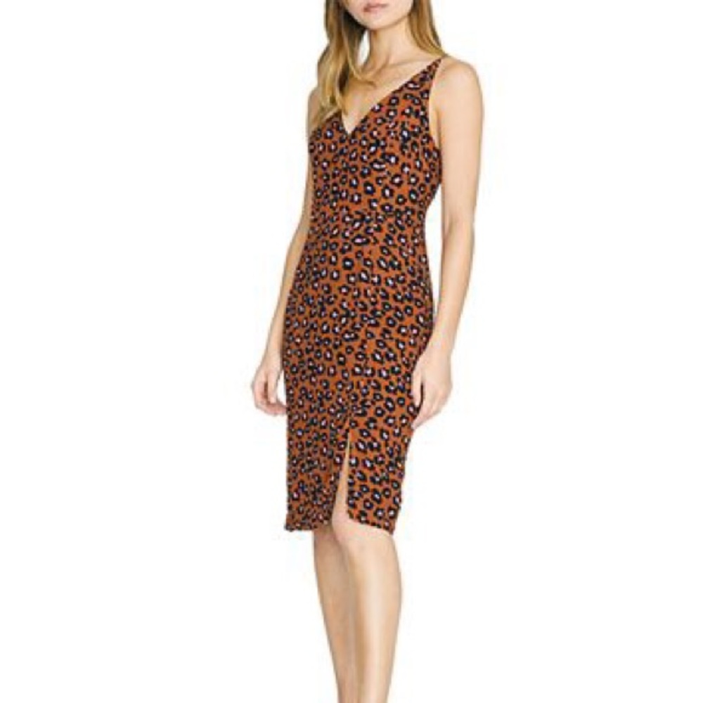 Sanctuary Leopard Dress